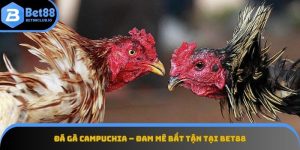 Đá gà Campuchia